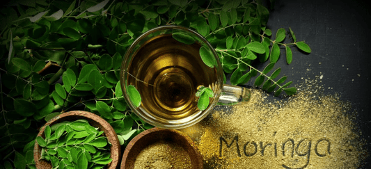 Moringa in Urdu – مورنگا کے حیرت انگیز فوائد اور مطلب - Organical