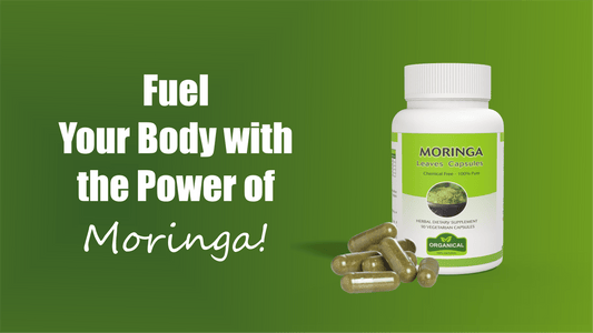 Moringa Powder Capsule: The Superfood Supplement You Didn’t Know You Needed - Organical
